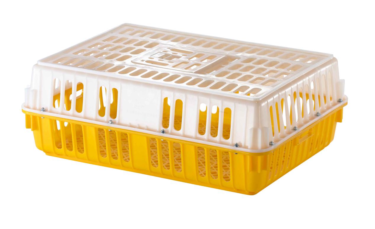 上白下黄鸡笼 - 台山龙泰塑料制品有限公司